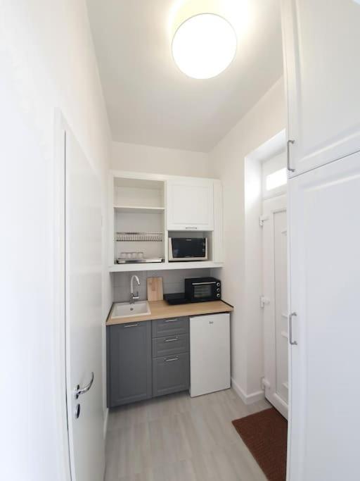 Master Apartment With Air Condition And Separated Rooftop Terrace Budapest Kültér fotó