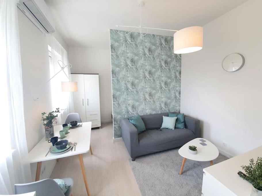 Master Apartment With Air Condition And Separated Rooftop Terrace Budapest Kültér fotó