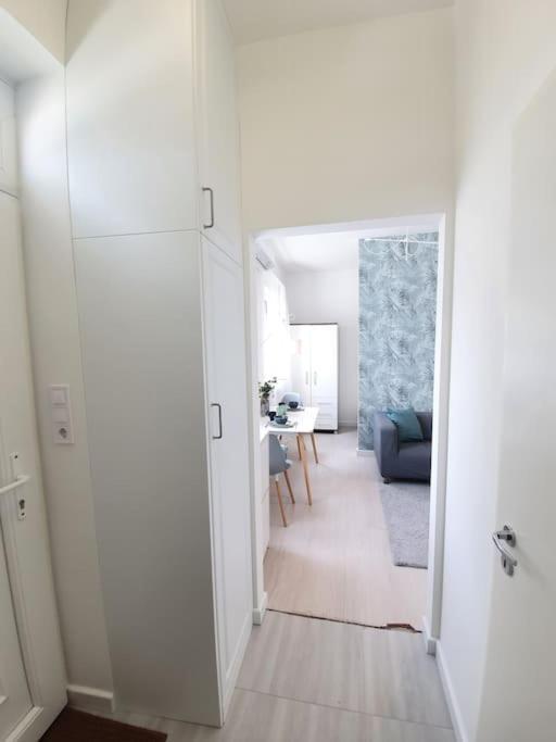 Master Apartment With Air Condition And Separated Rooftop Terrace Budapest Kültér fotó