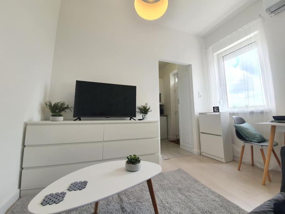 Master Apartment With Air Condition And Separated Rooftop Terrace Budapest Kültér fotó